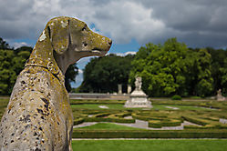 Der Hund im Schlosspark