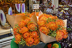 Herbstlicher Blumengruß aus Zürich